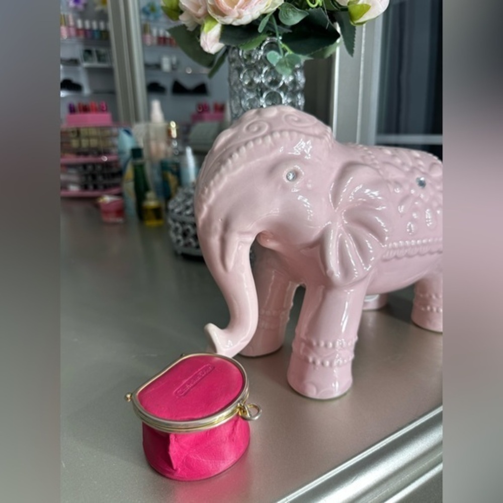Christian Dior Pink Coin Jewelry Pouch